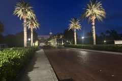 IMG_6908